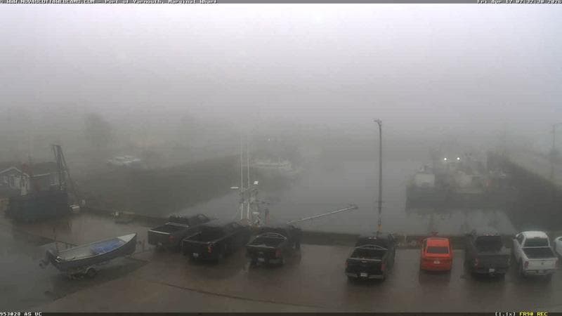 Marginal Wharf South