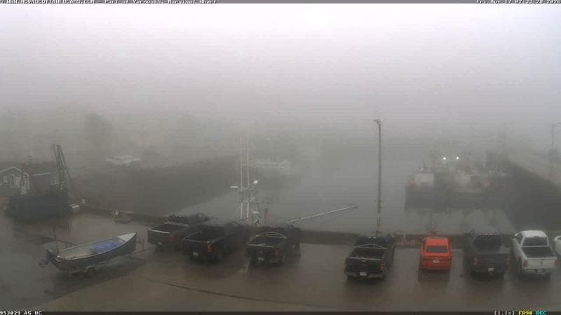 Marginal Wharf South