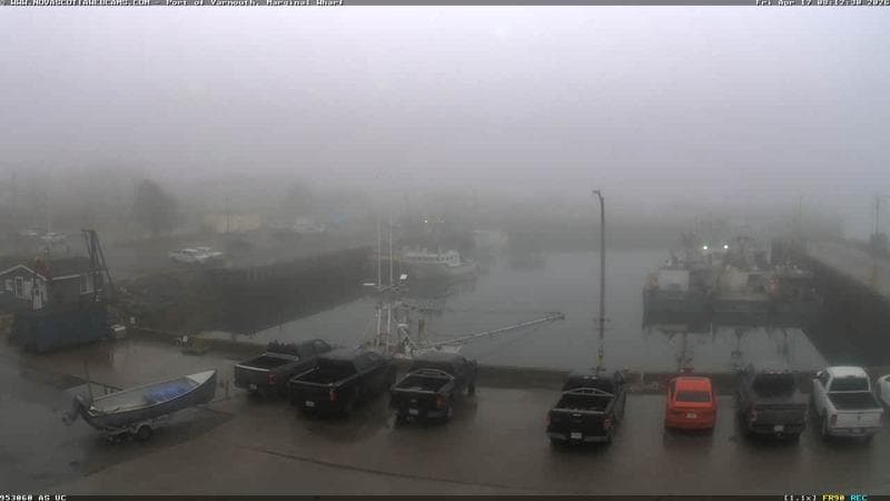 Marginal Wharf South