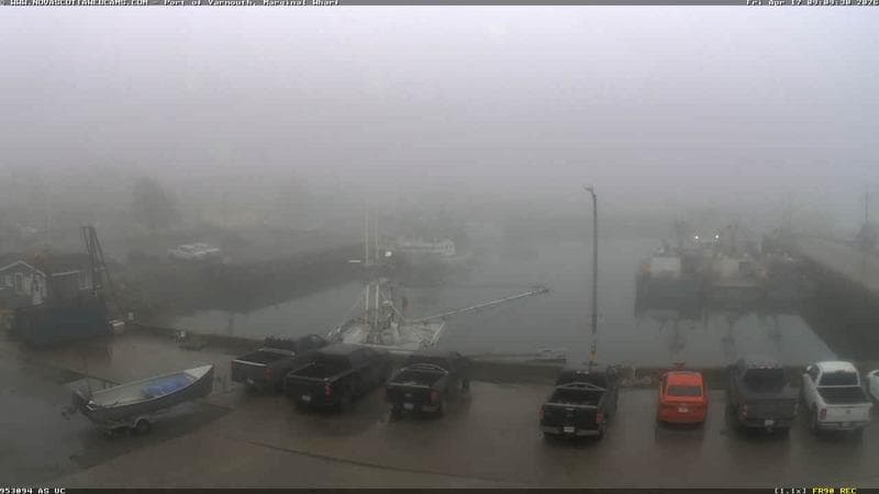 Marginal Wharf South