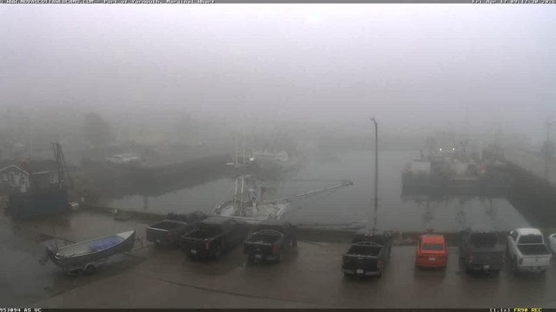 Marginal Wharf South