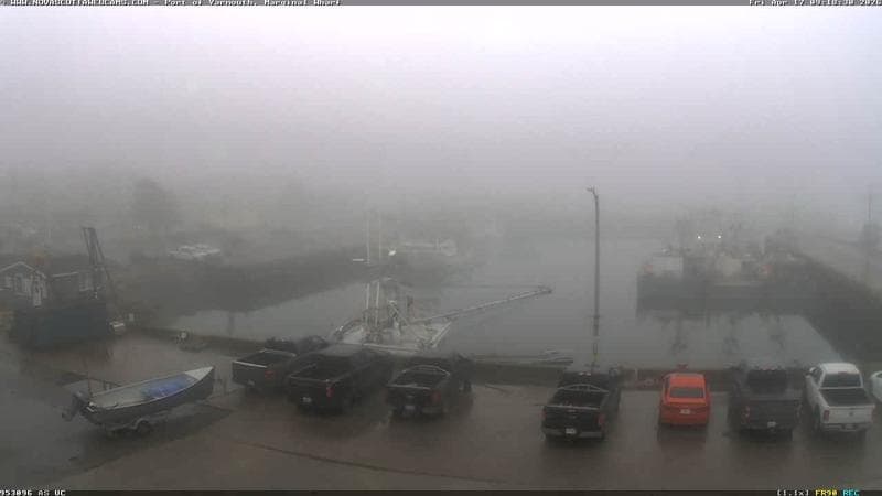 Marginal Wharf South