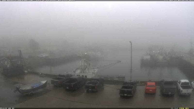 Marginal Wharf South