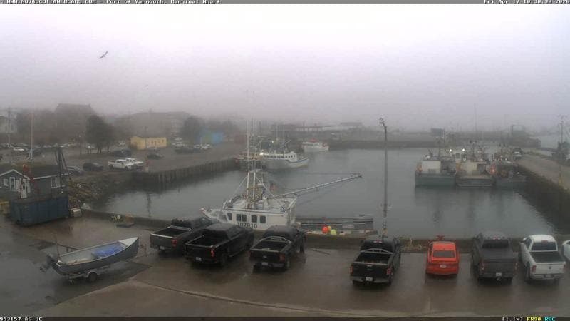 Marginal Wharf South