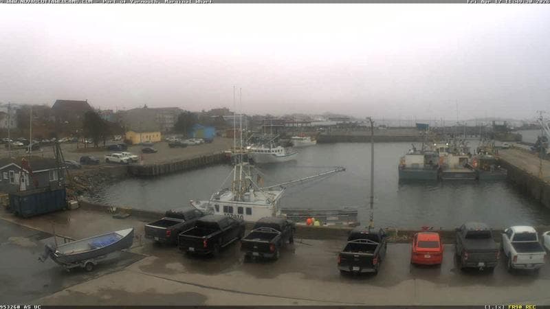 Marginal Wharf South