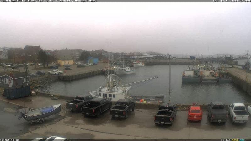 Marginal Wharf South