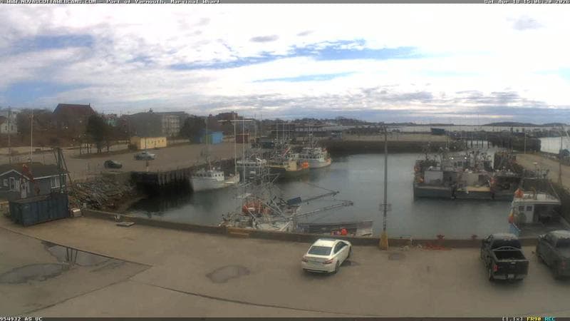 Marginal Wharf South