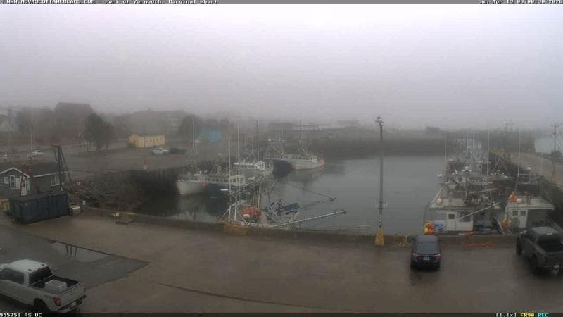 Marginal Wharf South