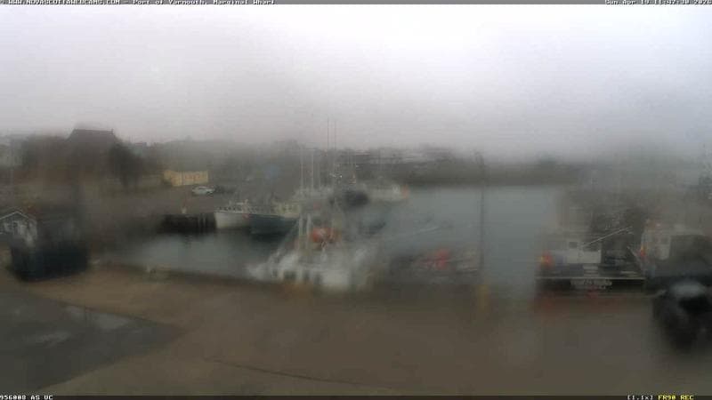 Marginal Wharf South