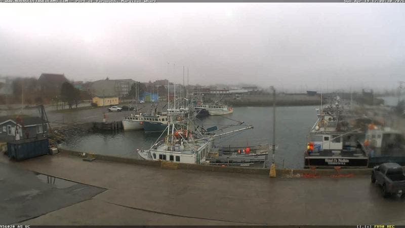 Marginal Wharf South