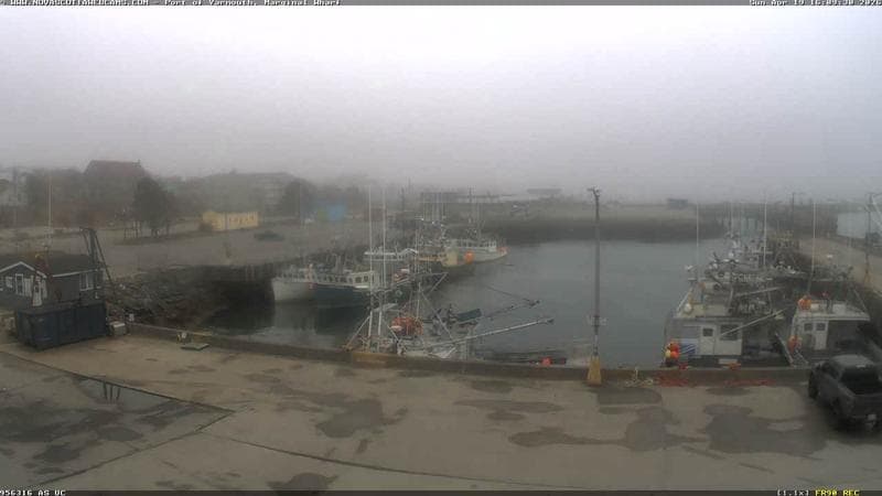 Marginal Wharf South