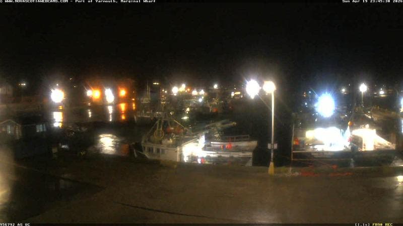 Marginal Wharf South