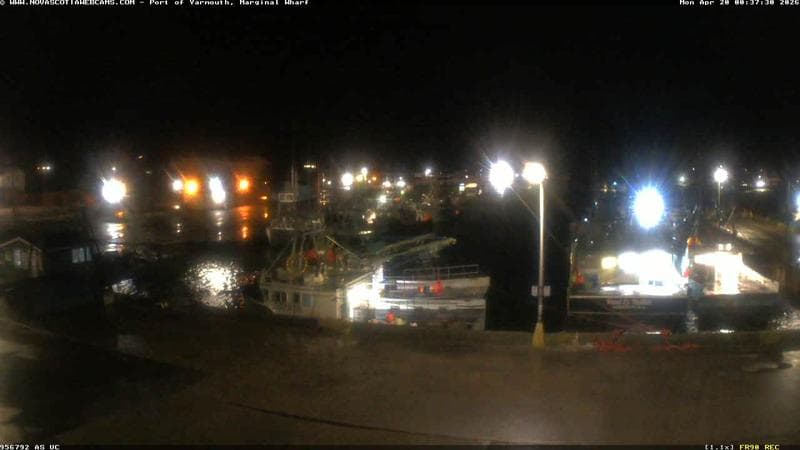 Marginal Wharf South