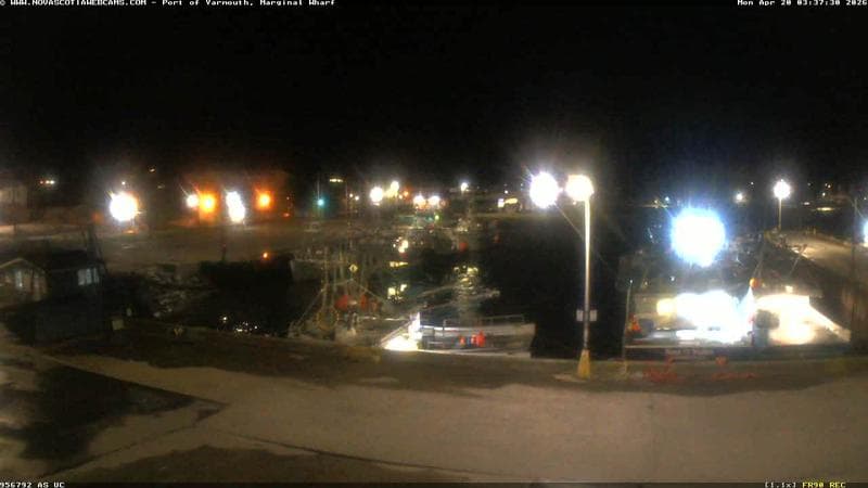 Marginal Wharf South