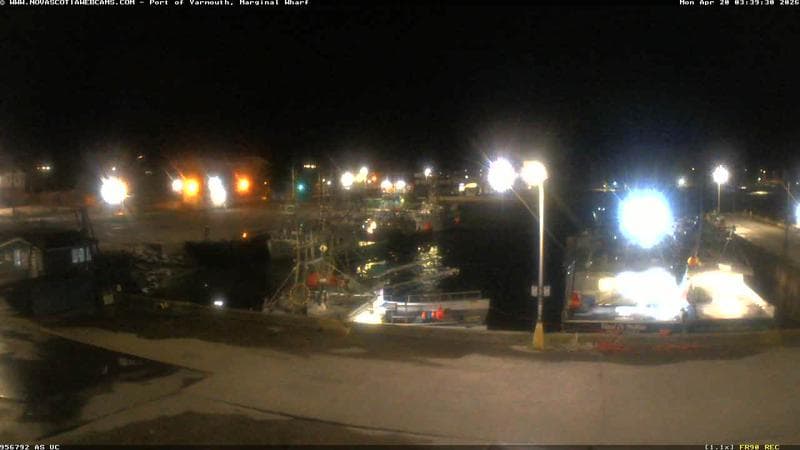 Marginal Wharf South