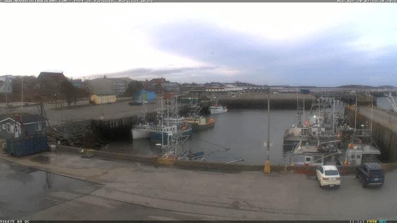 Marginal Wharf South