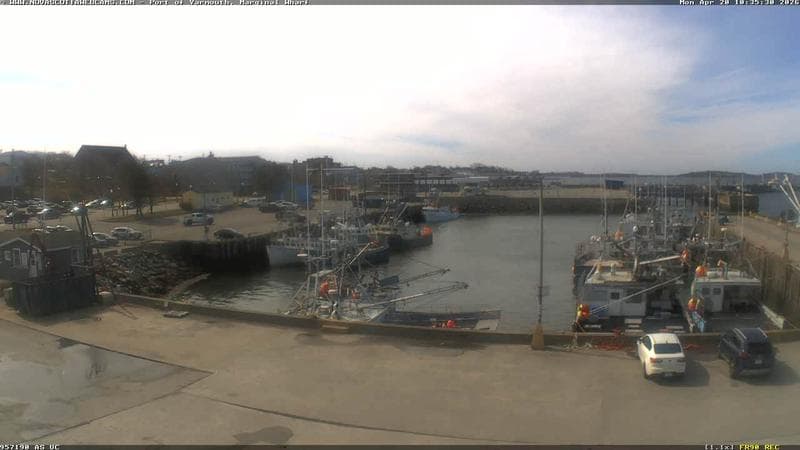 Marginal Wharf South