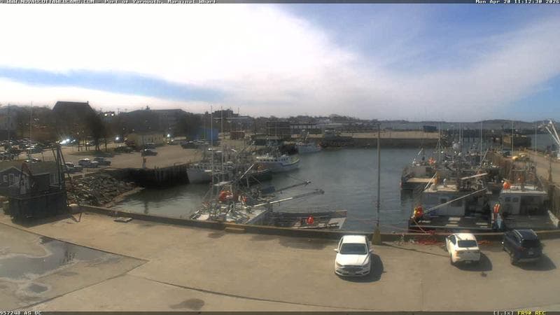 Marginal Wharf South