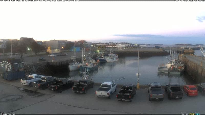 Marginal Wharf South