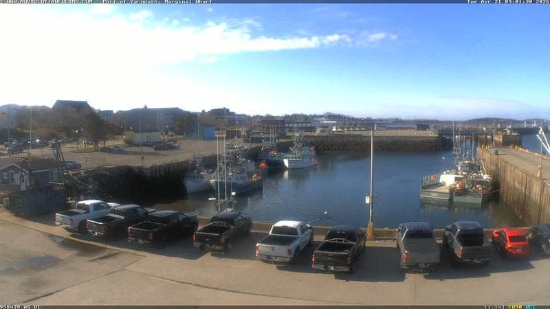 Marginal Wharf South