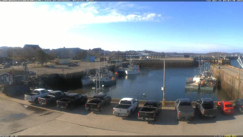 Marginal Wharf South