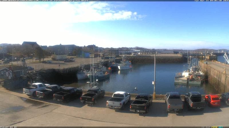 Marginal Wharf South