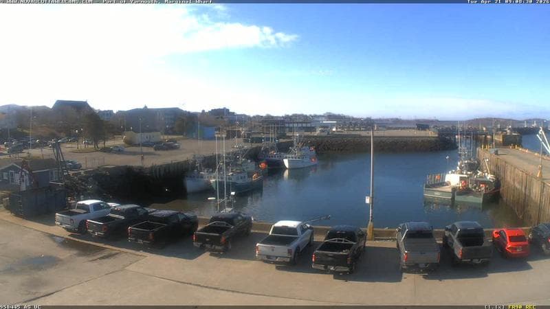 Marginal Wharf South