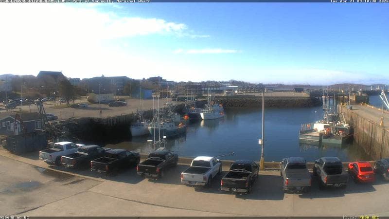 Marginal Wharf South