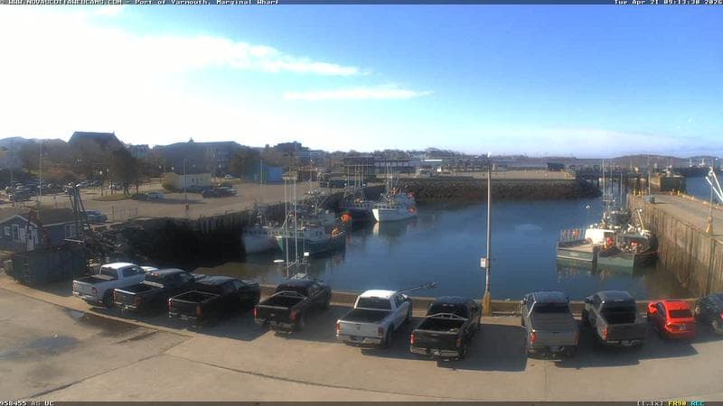 Marginal Wharf South