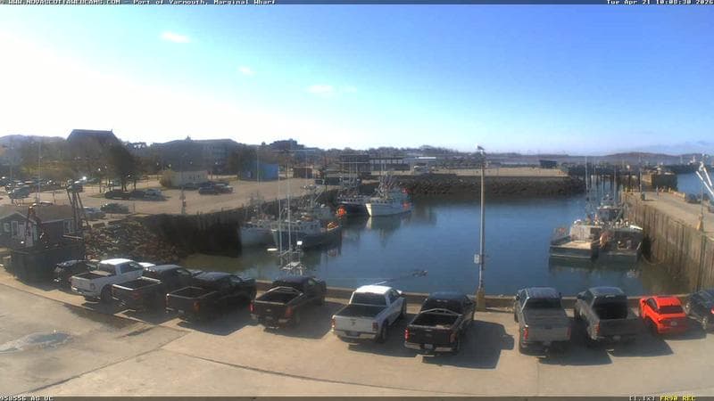 Marginal Wharf South