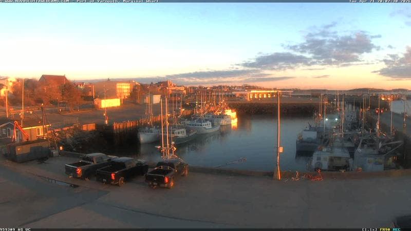 Marginal Wharf South