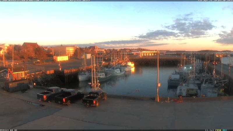 Marginal Wharf South