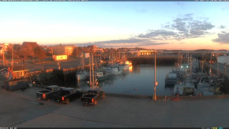 Marginal Wharf South