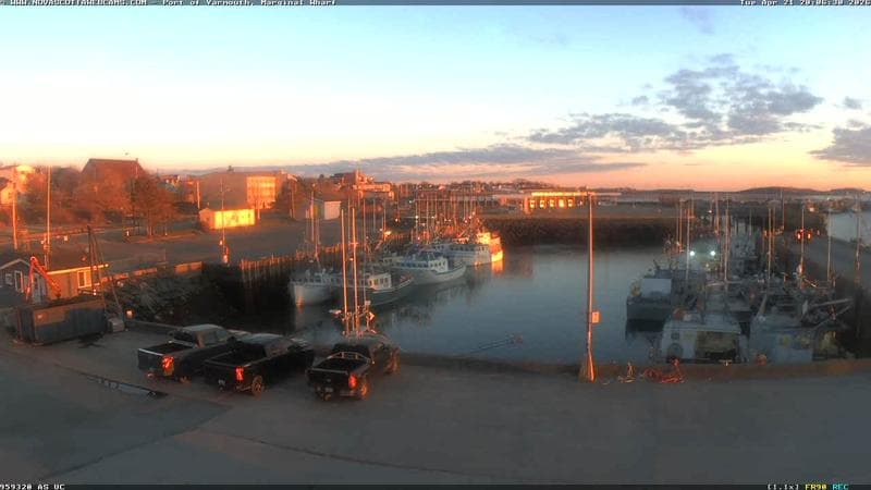 Marginal Wharf South