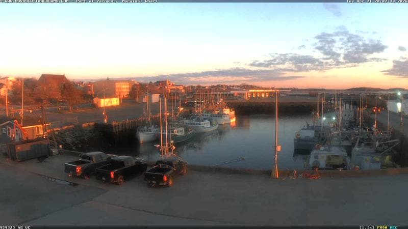 Marginal Wharf South