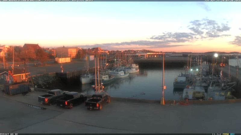 Marginal Wharf South