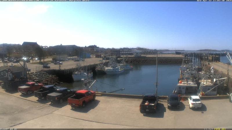 Marginal Wharf South