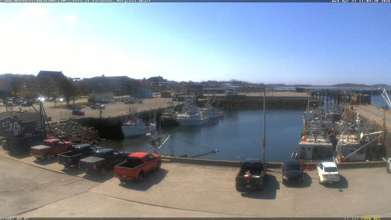 Marginal Wharf South