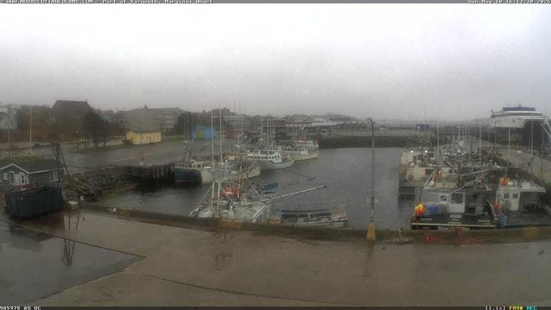 Marginal Wharf South