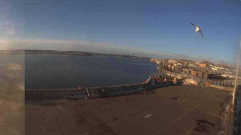 Lobster Rock Wharf North