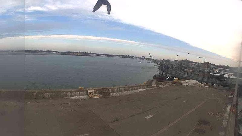 Lobster Rock Wharf North