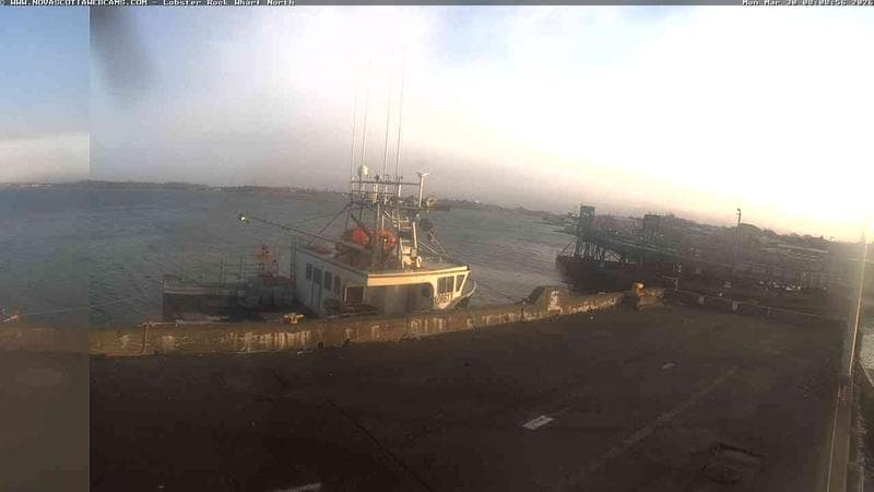 Lobster Rock Wharf North