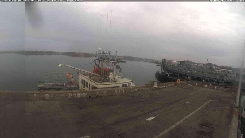 Lobster Rock Wharf North
