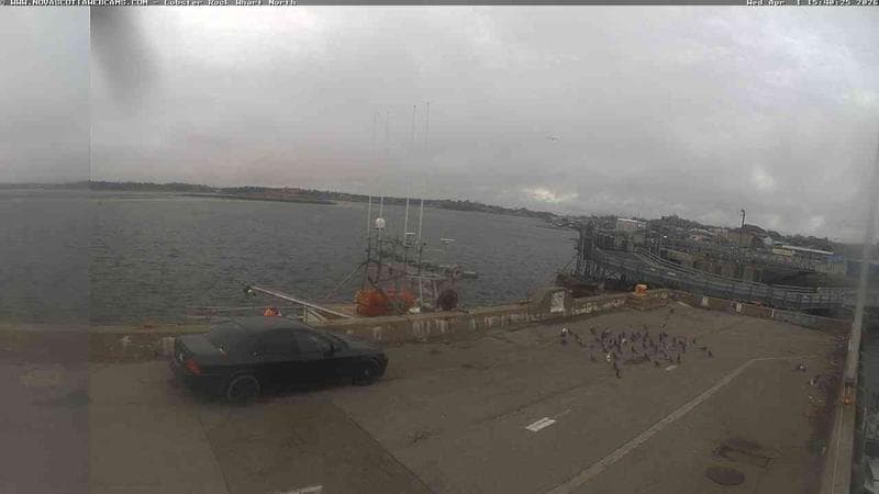 Lobster Rock Wharf North