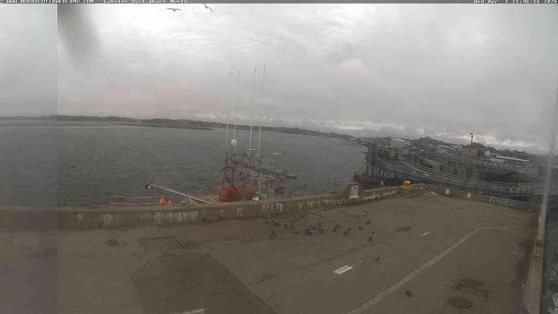 Lobster Rock Wharf North