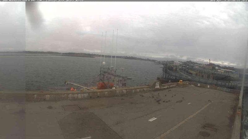 Lobster Rock Wharf North