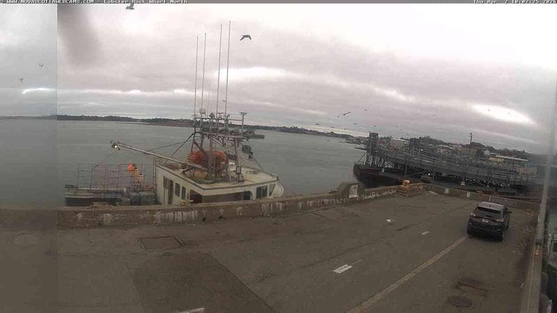 Lobster Rock Wharf North