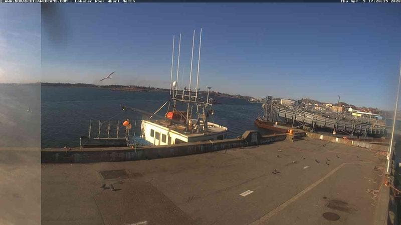 Lobster Rock Wharf North