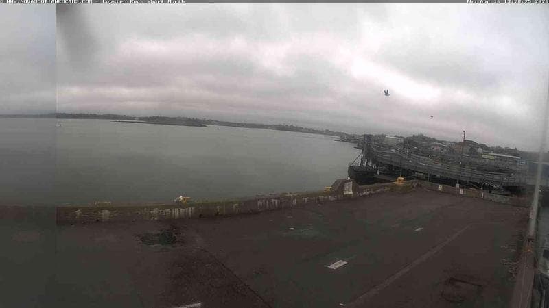 Lobster Rock Wharf North