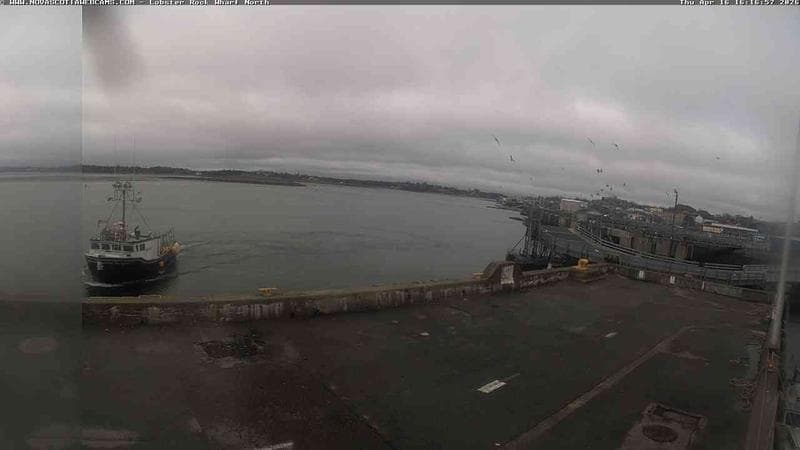 Lobster Rock Wharf North